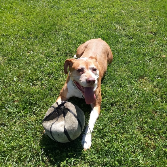 Check out my closet sale❤ Look for the 🔴 for items marked down to $1, $2 & $3 - Picture 9 of 16